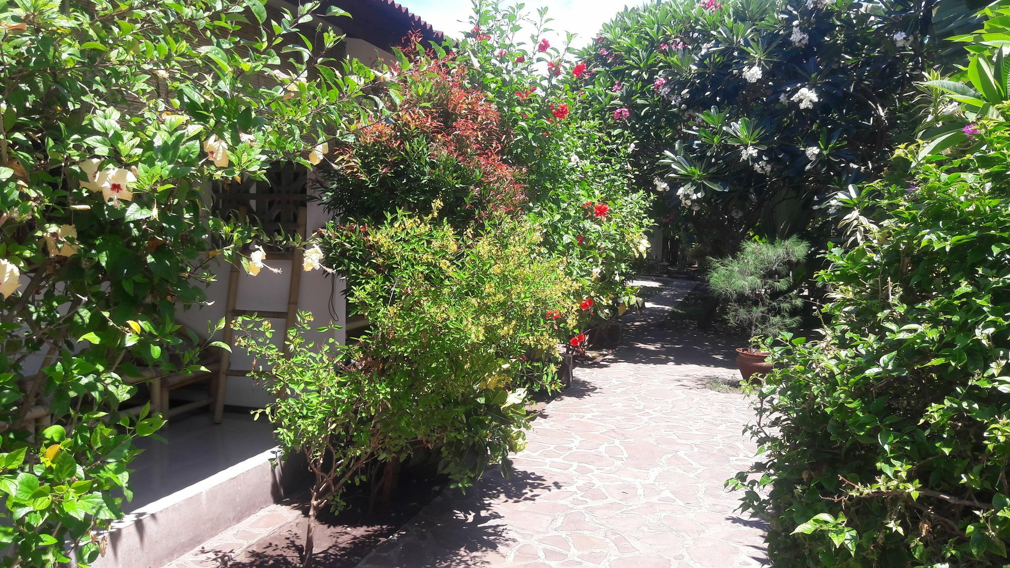 Si Pitung Village 3* Gili Air